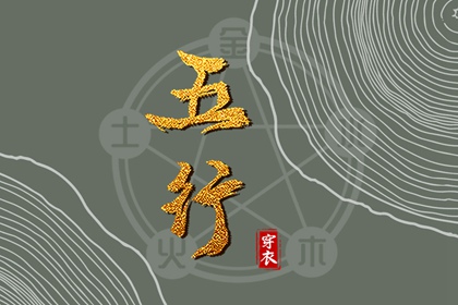 男女命盘,排盘紫薇,命命盘查询,元亨八字排命盘,八字排命盘,算命命盘